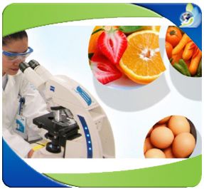 Curso de microbiología básica para alimentos
