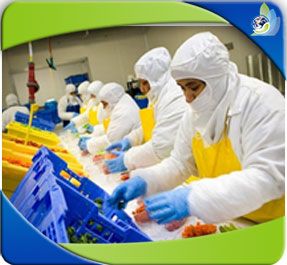 Buenas prácticas de manufactura en alimentos