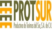 Protsur Piedras Negras