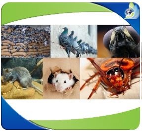 Curso de prevención y control de plagas en el procesamiento de alimentos