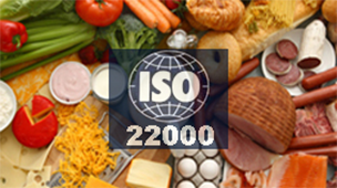 Curso de auditor interno de ISO 22000