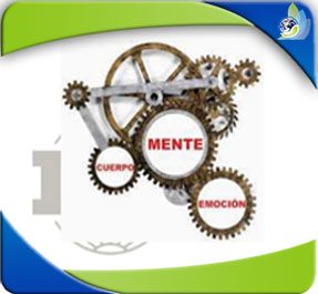 Curso ambiente para la operación de los procesos