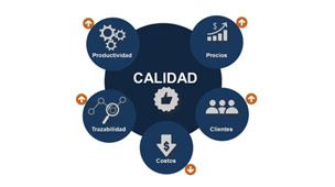 Curso ISO 28000: sistemas de gestion de seguridad para suministros