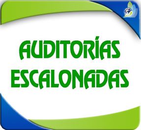 Cursos de auditorias por capas