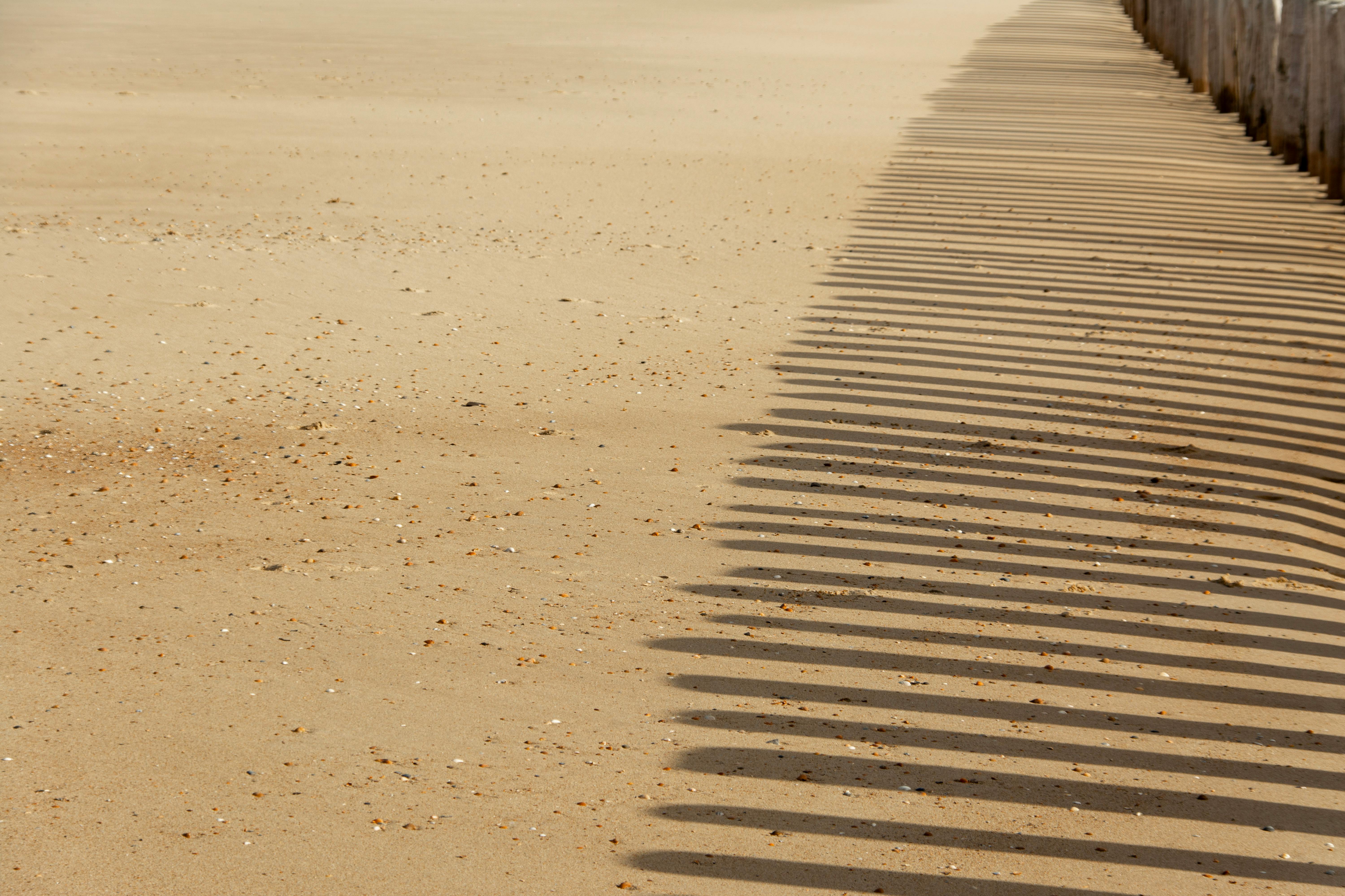 Streamlining IR10 Forms: Best Automation Solutions for New Zealand Accountants