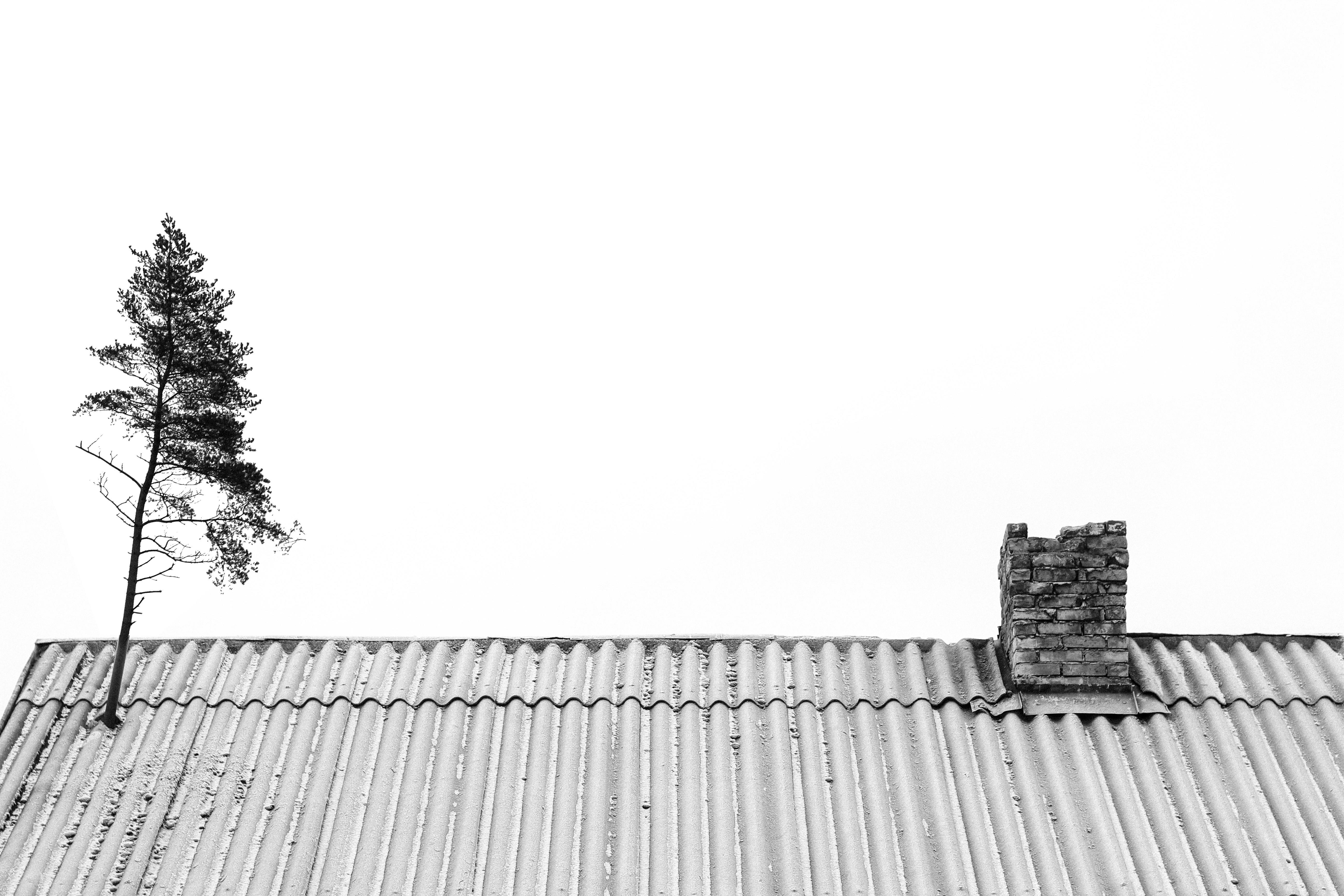 How to Convert Your Trial Balance into an IR10 Form for IRD