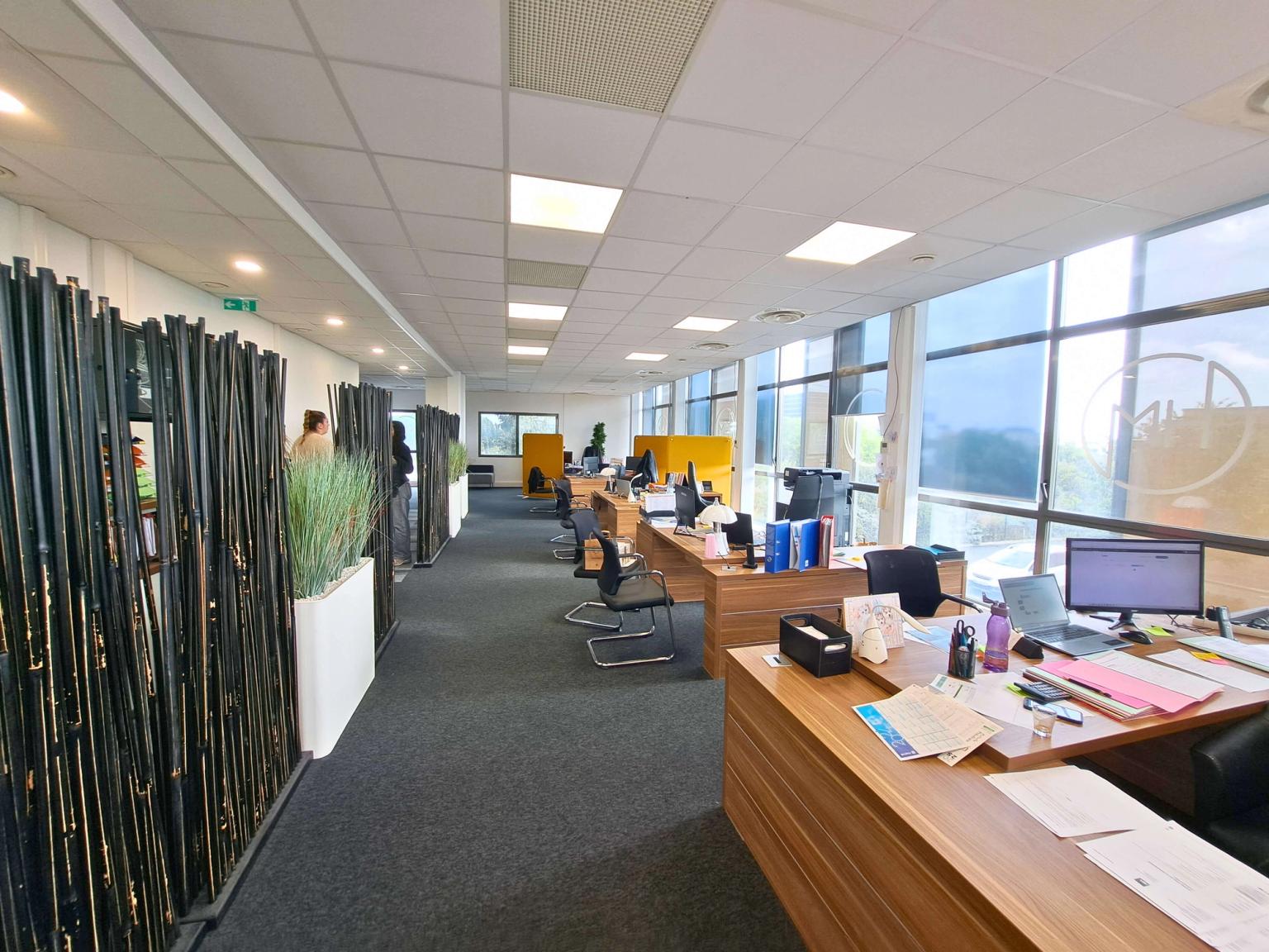 Open space des bureaux du 1er étage - Colomiers- Caso Patrimoine