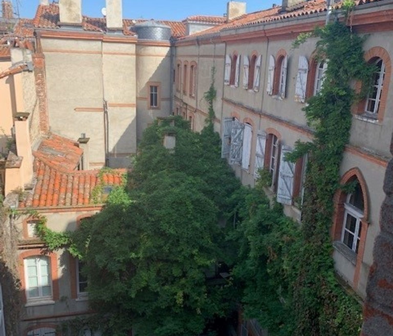 Location T1 de 19 m² Capitole