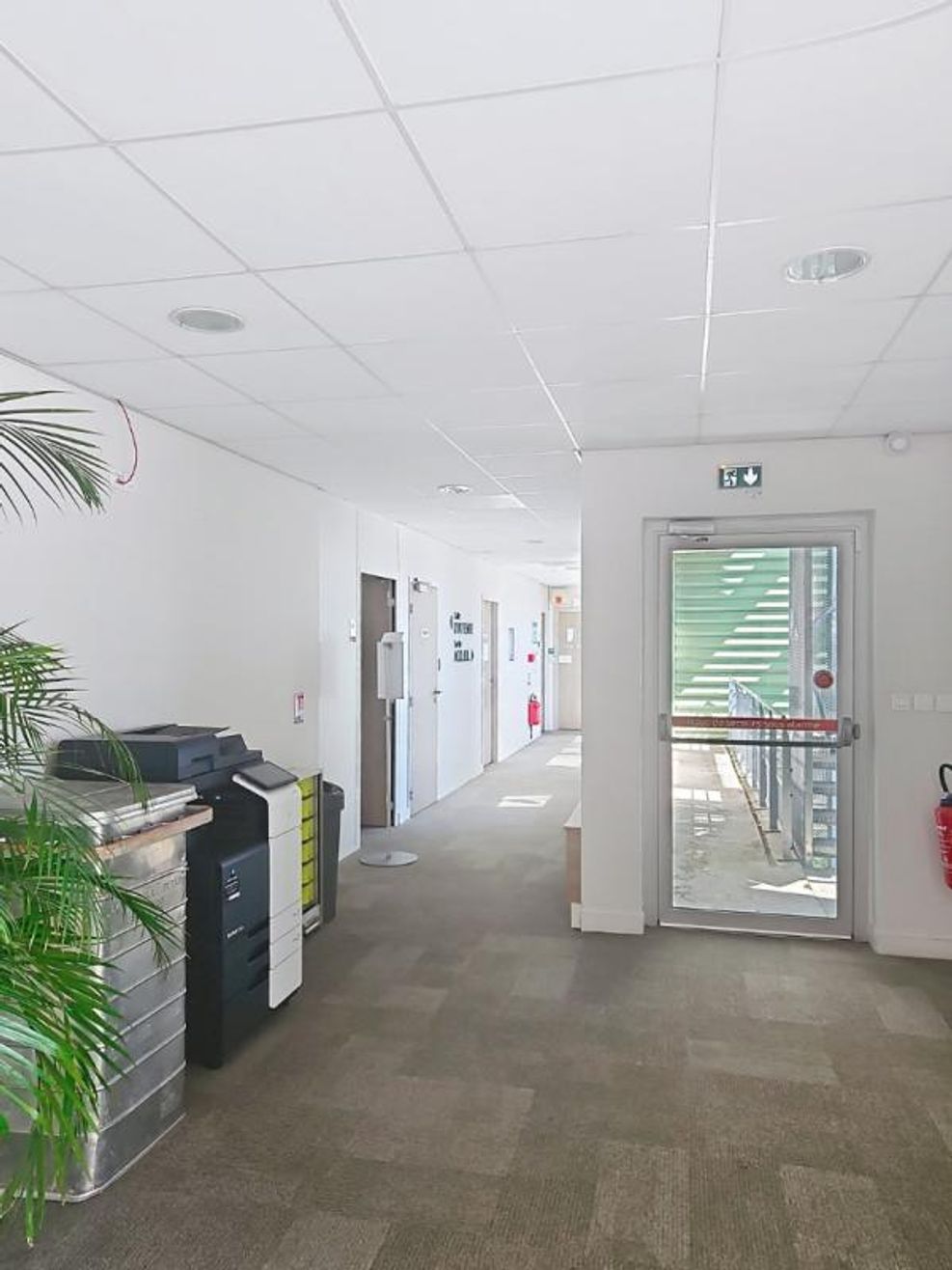 BUREAUX A LOUER - TOULOUSE - 253 M²