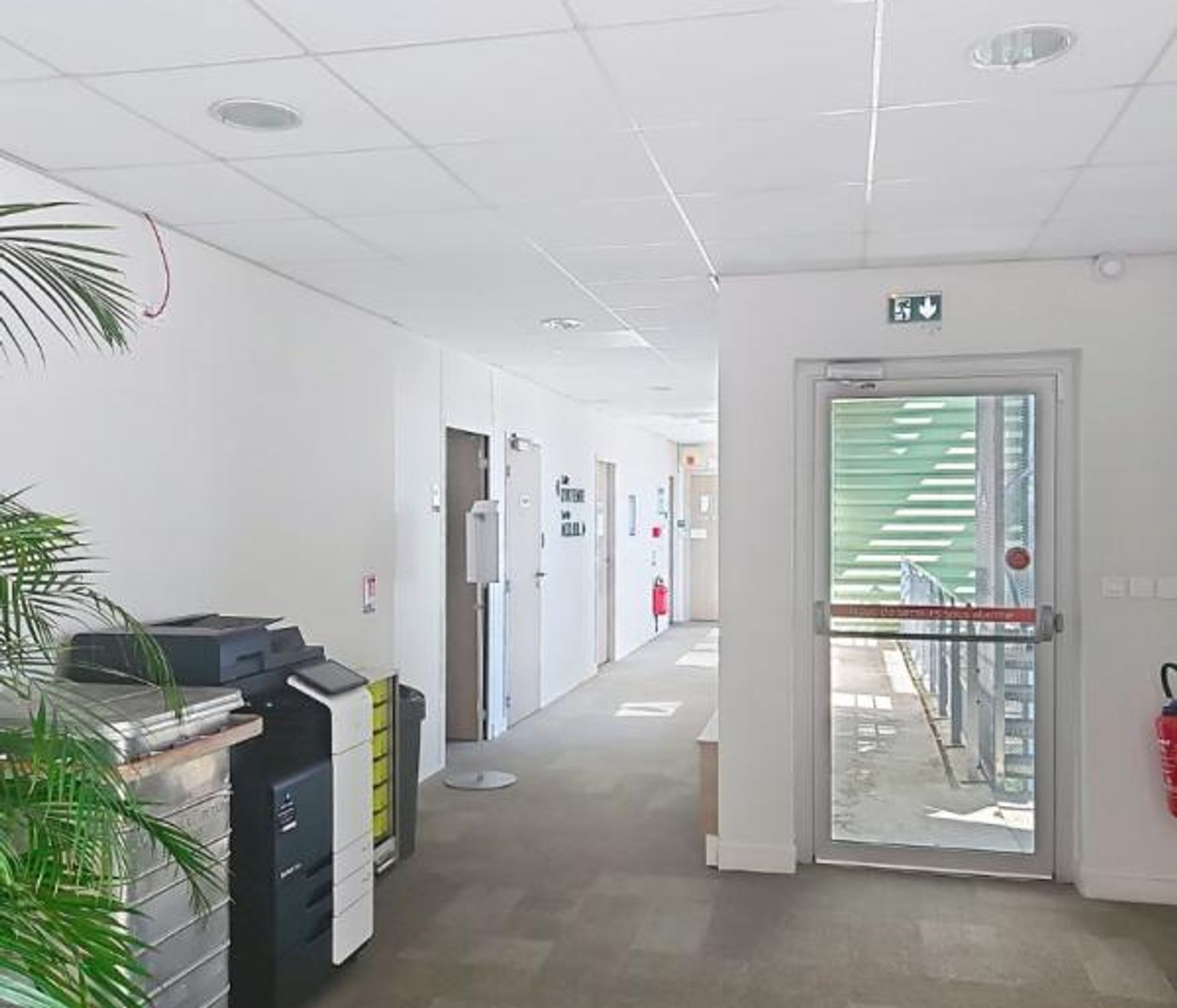 BUREAUX A LOUER - TOULOUSE - 253 M²