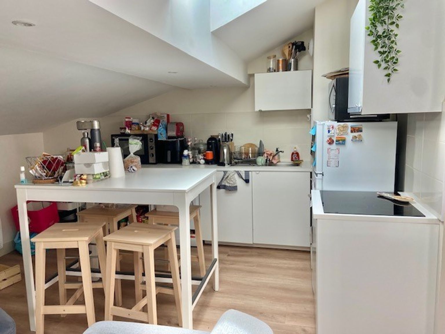 Location T3 de 64 m² Capitole ( colocation acceptées ) non meublé