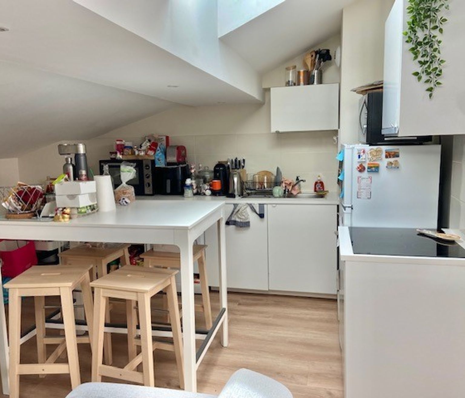Location T3 de 64 m² Capitole ( colocation acceptées ) non meublé