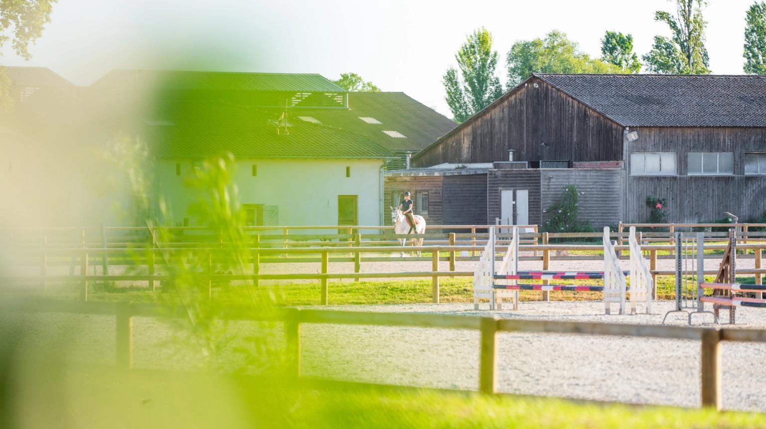 Caso Patrimoine, Investisseur immobilier de confiance à Toulouse, Paris et Bordeaux