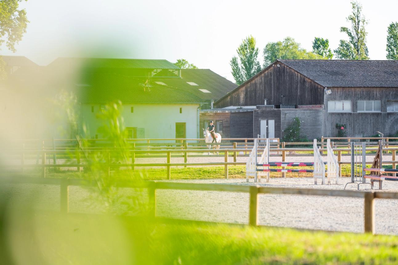 Domaine des Demoiselles - Caso Patrimoine