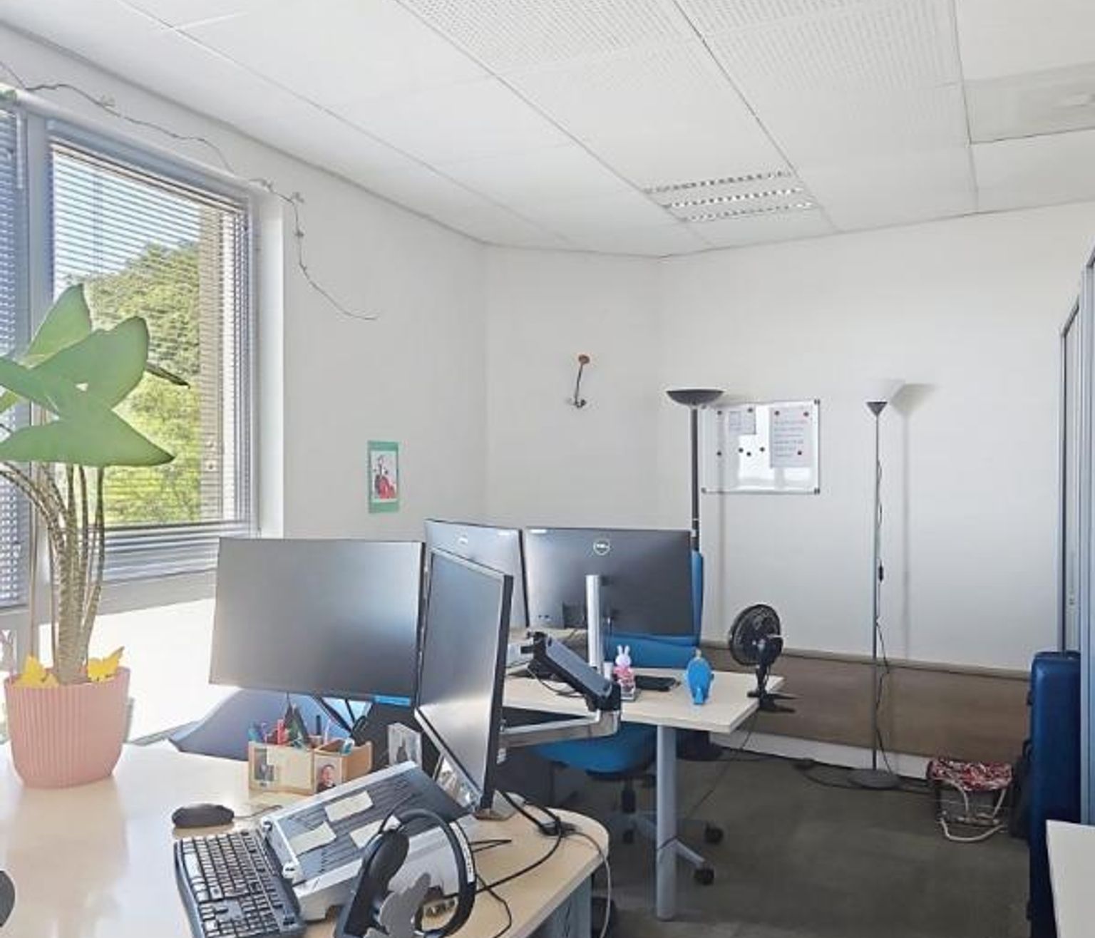 BUREAUX A LOUER - TOULOUSE - 253 M²