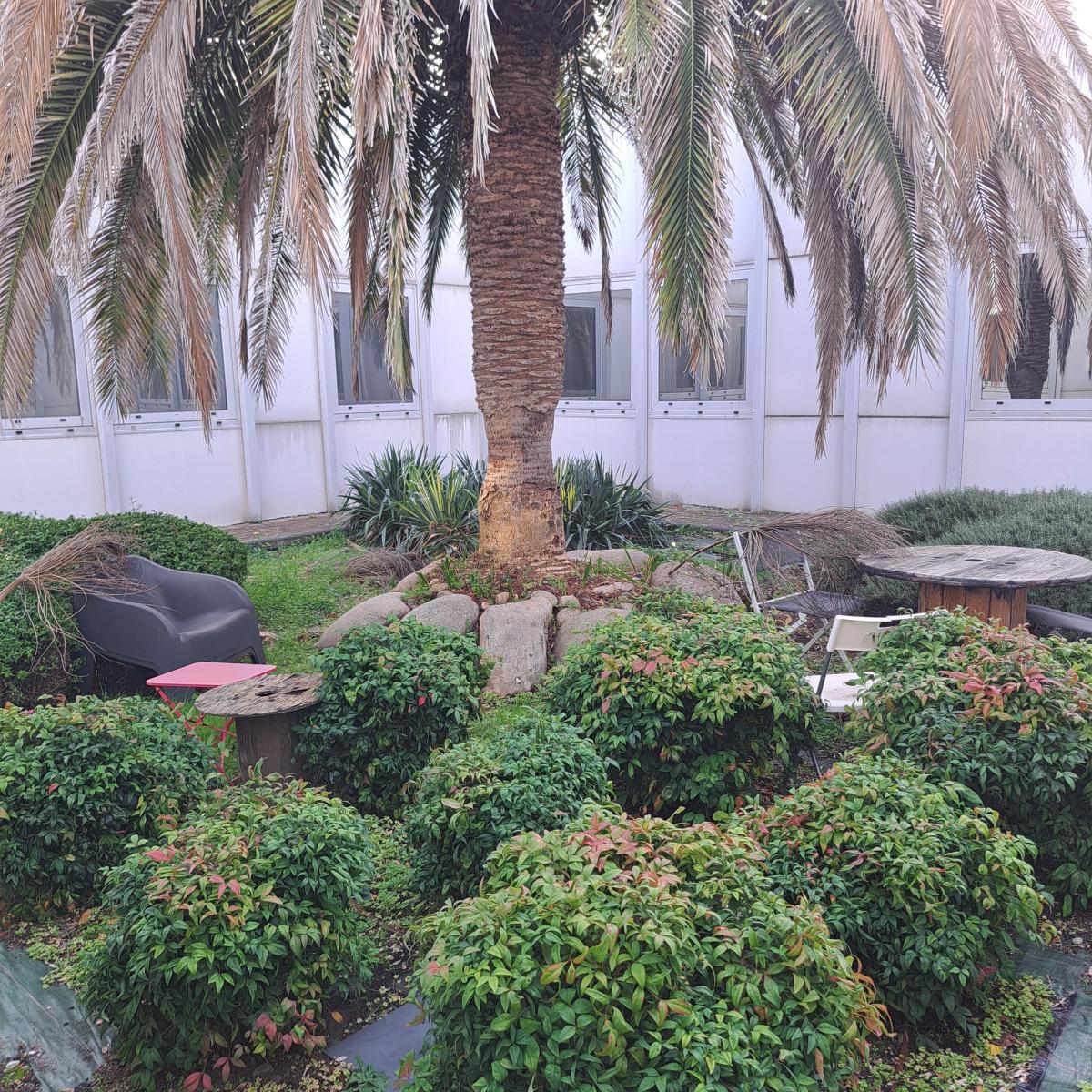 Caso Patrimoine, Investisseur immobilier de confiance à Toulouse, Paris et Bordeaux