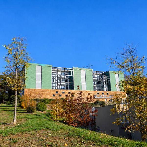 Bureaux à louer - Toulouse - 906 M² divisible
