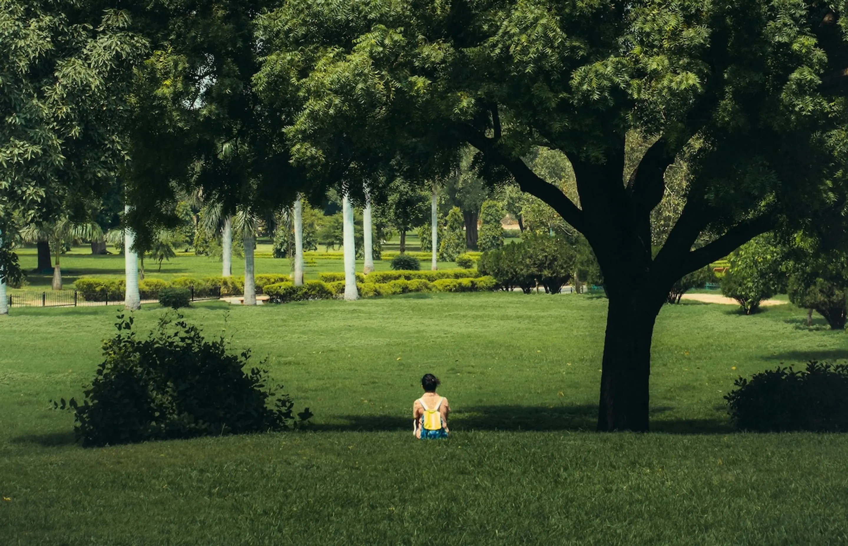 person sitting in grass with trees