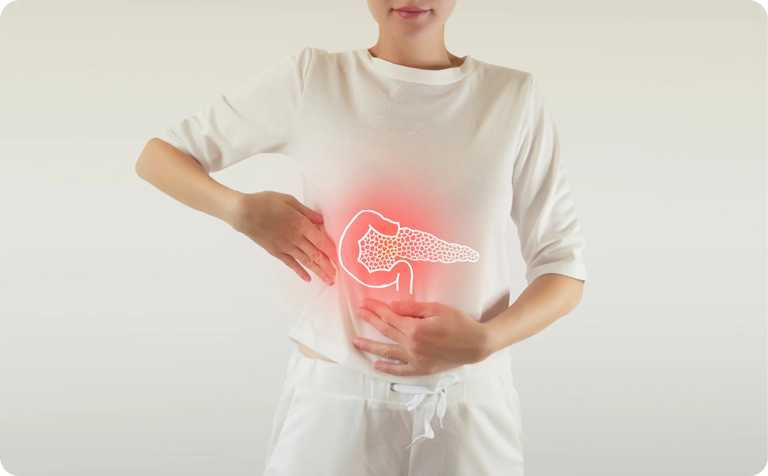 Pancreas organ highlighted and inflamed looking