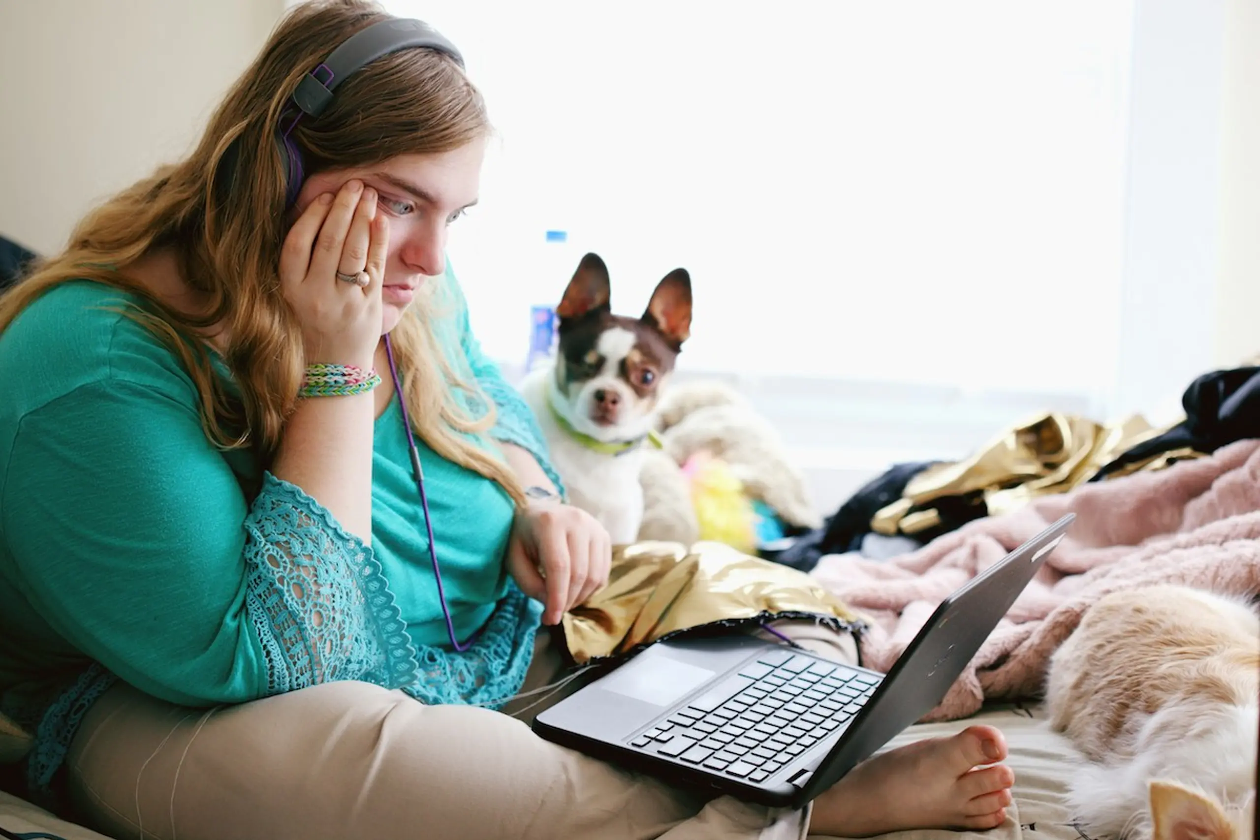 A concerned woman and her dog researching on the computer in bed