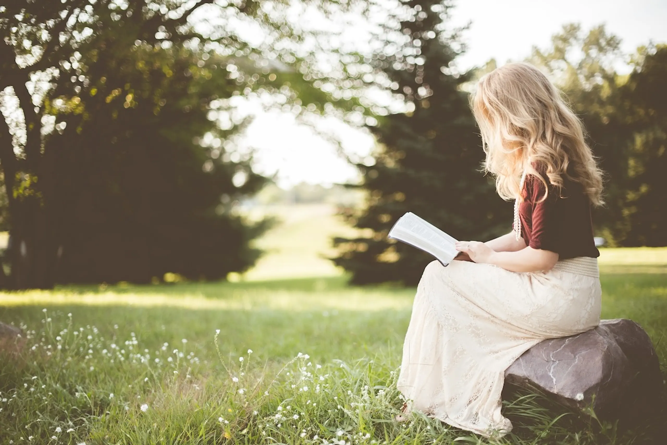 woman sitting on rock in a meadow reading a book