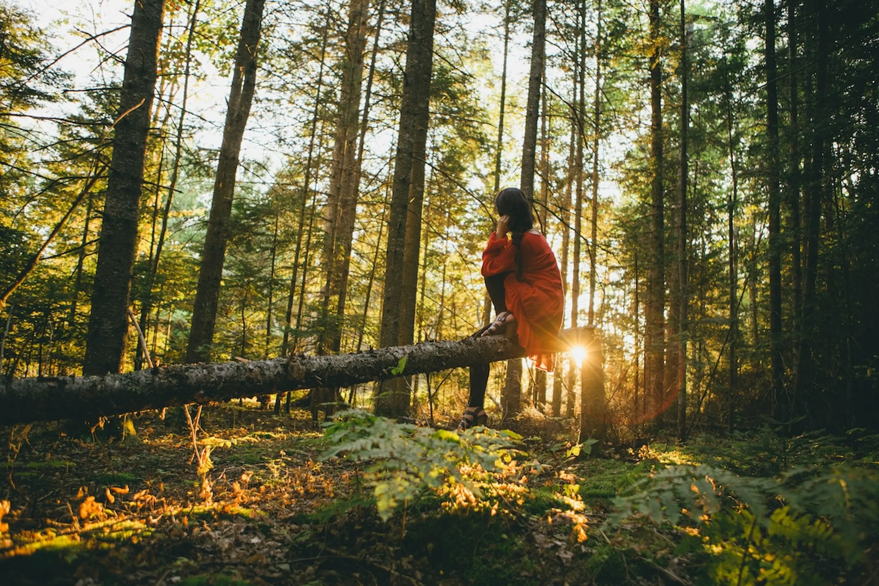 person sitting on log in the forest during sunrise