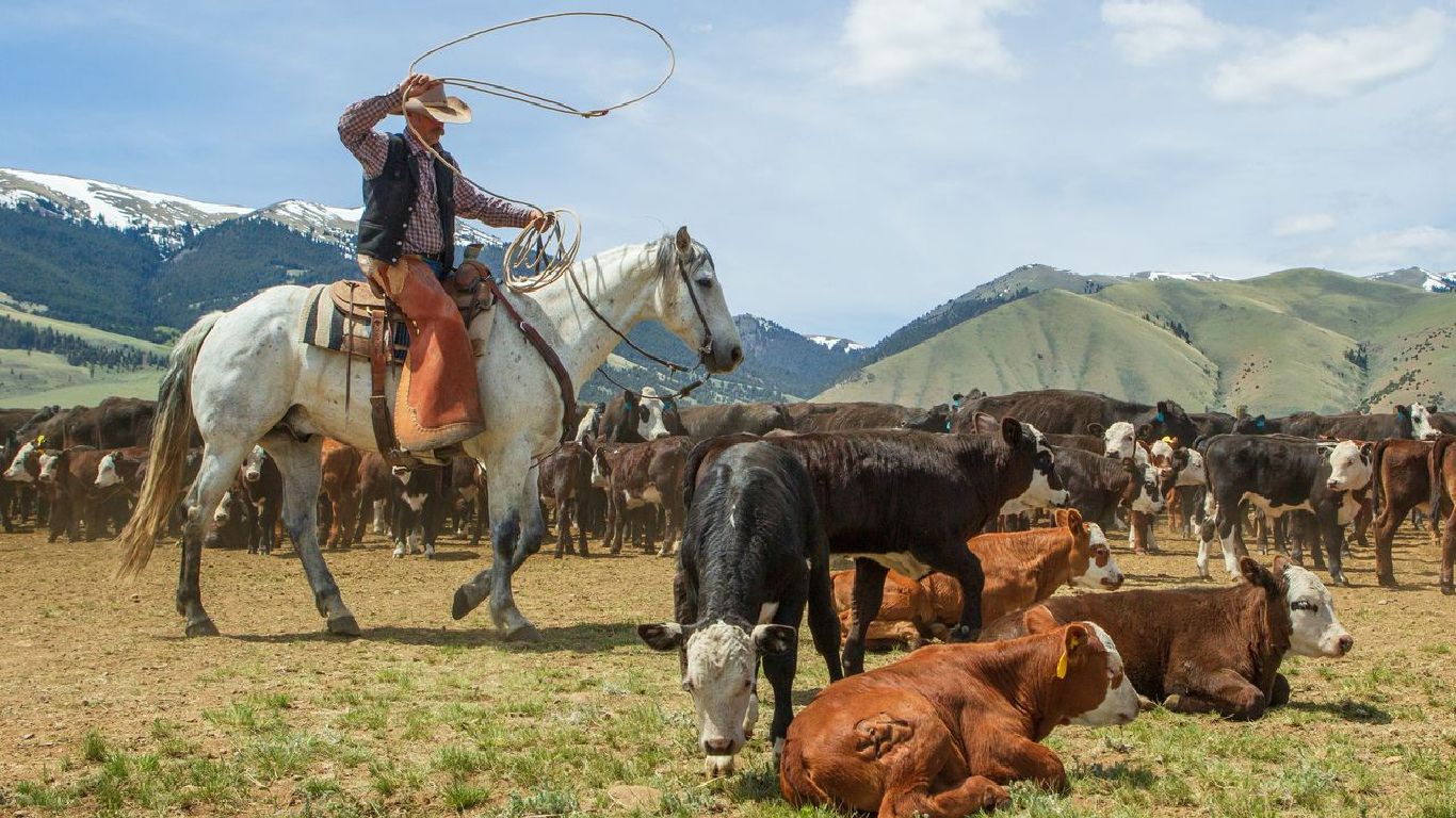 Rupert Murdoch Snaps Up Beaverhead Ranch For $280 Million — Boss Hunting