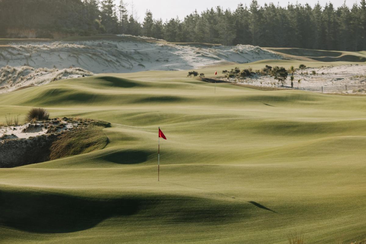 Luxury suite interior at Te Arai Links showing warm timber finishes plush carpets cloud bedding and private balcony with views through pine trees toward the South Course fescue fairways and Pacific Ocean coastline