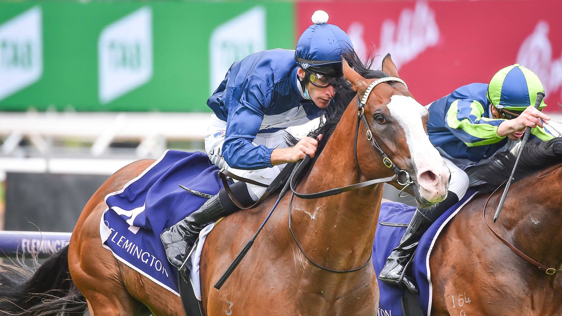 9 Best Roughies To Back This Spring Carnival — Boss Hunting