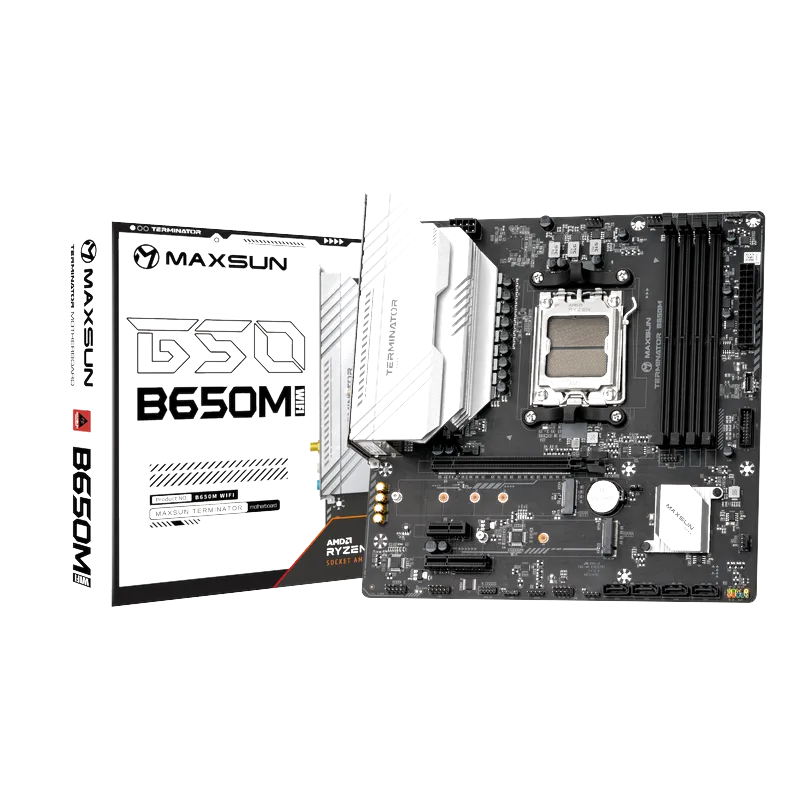 MS-Terminator B650M WIFI6