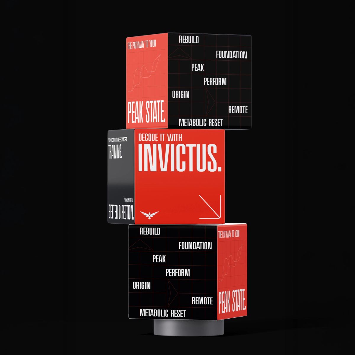 Invictus Performance Lab, application 1