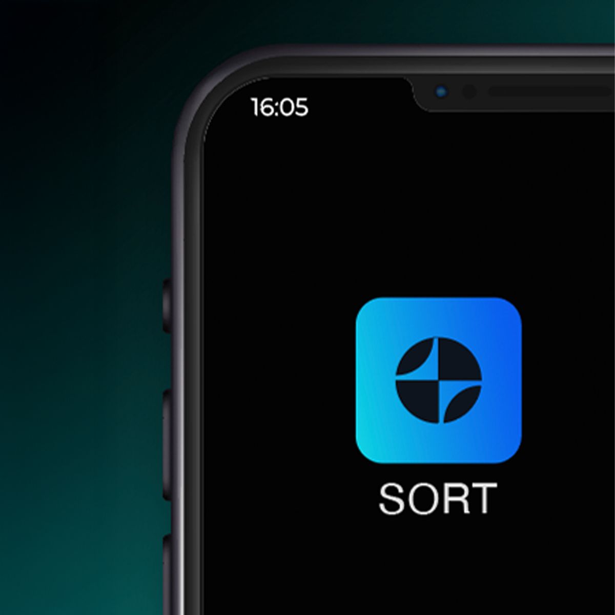 Sort, application 1