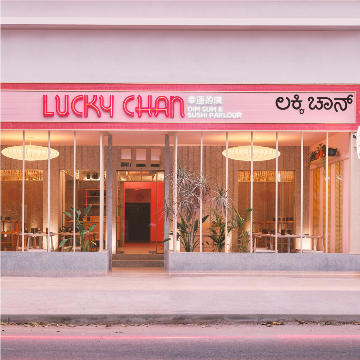 Lucky Chan, image 3