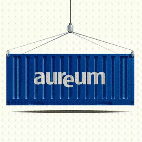 Aureum - An Asset Management Company