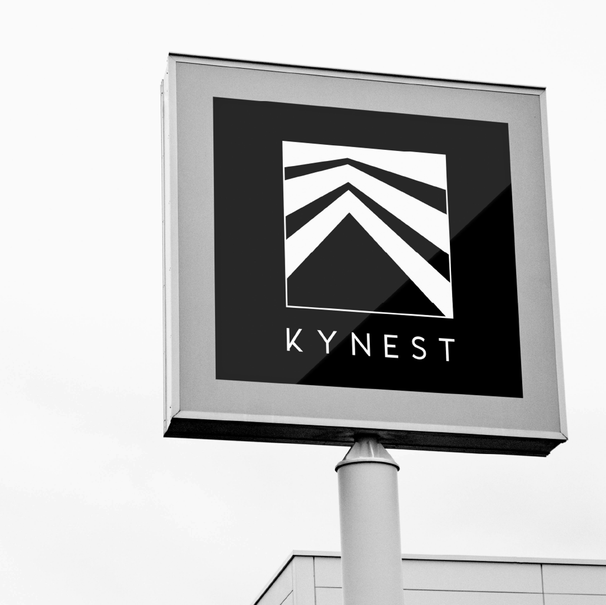 Kynest, image 1