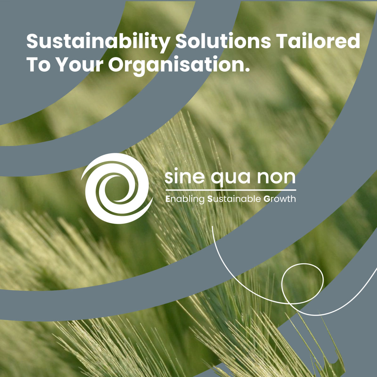SQN, application 1