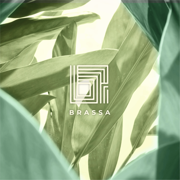 Brassa