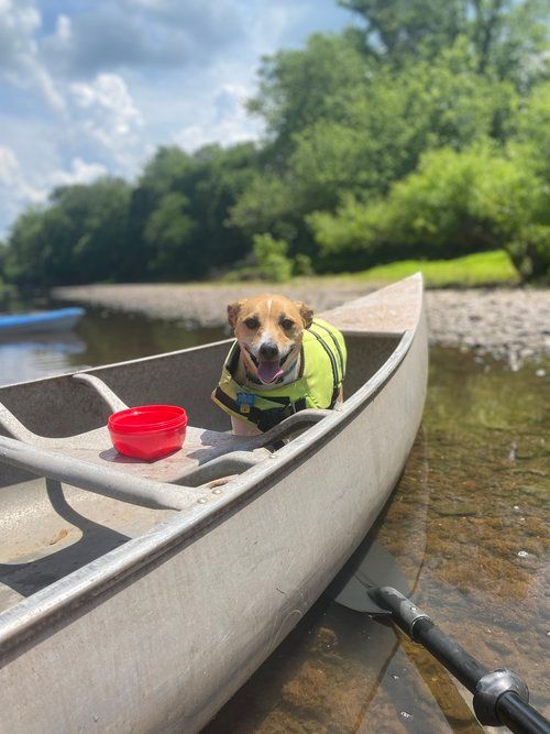 Warmy likes canoes too