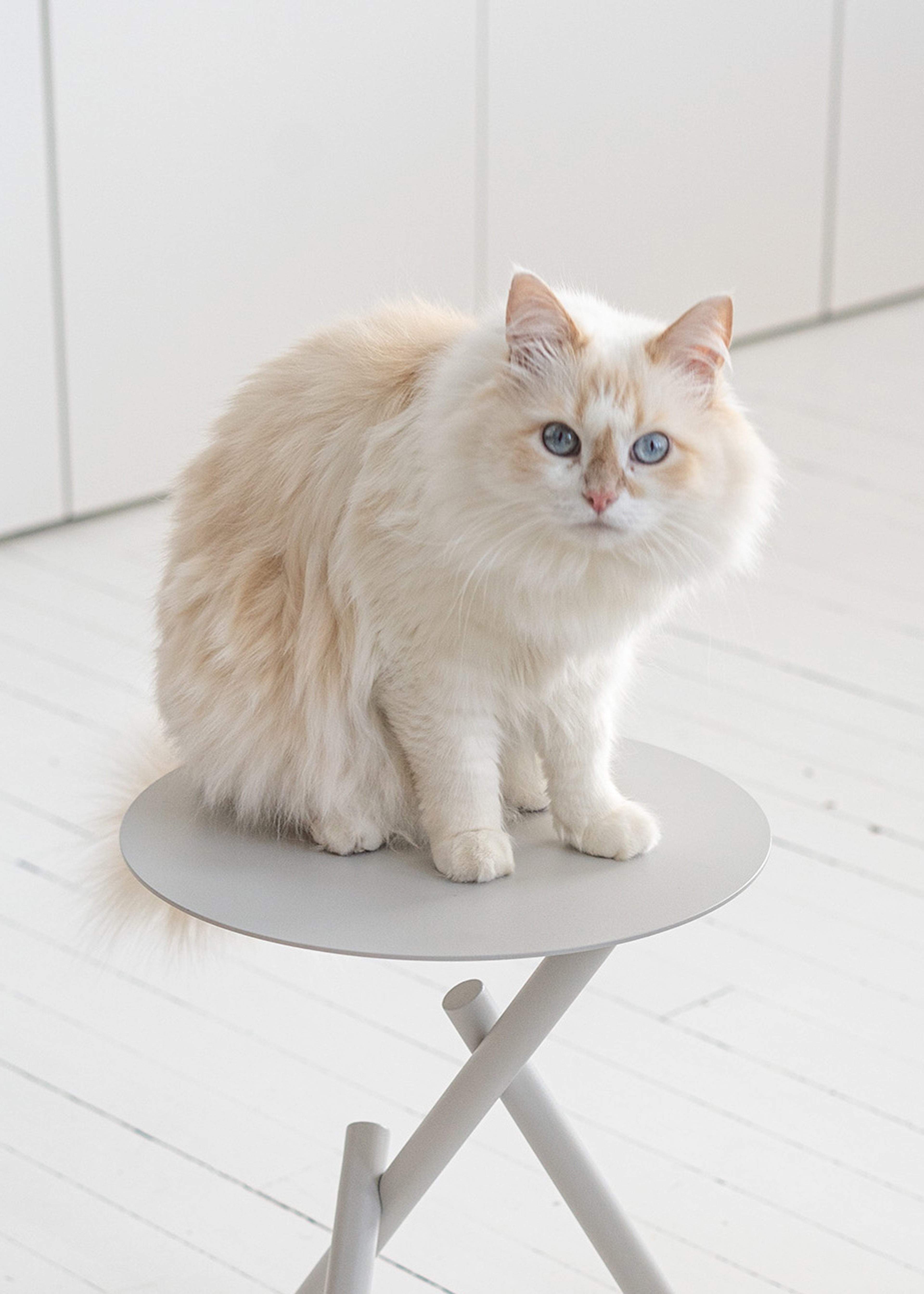 Sticks table in white