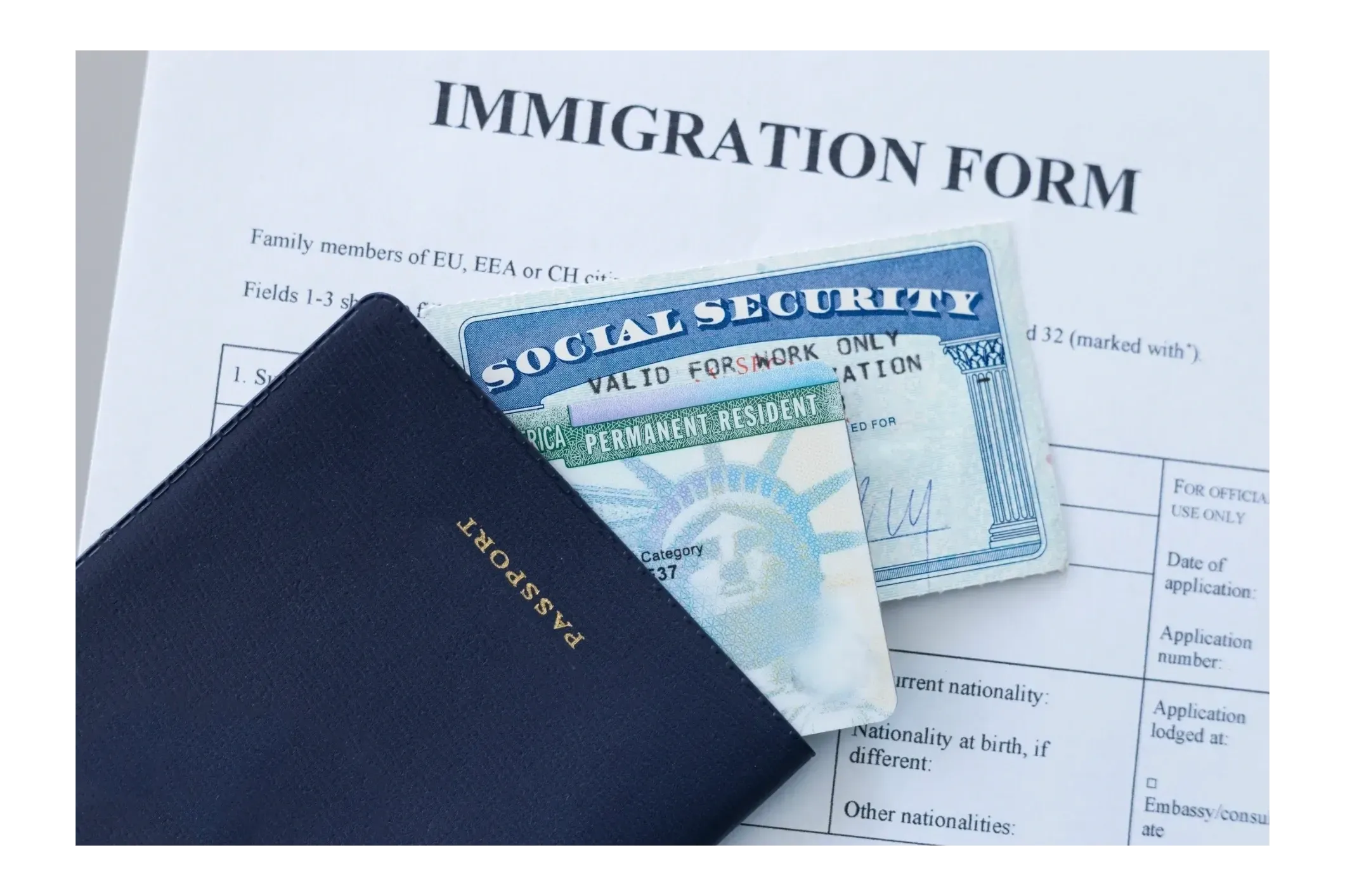 Immigration Case Manger