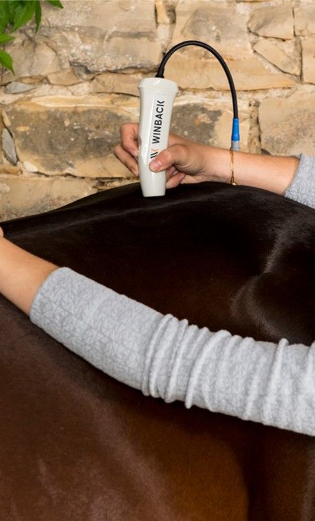 winback-hitens-rshock-equine-vet-veto-cheval-equin