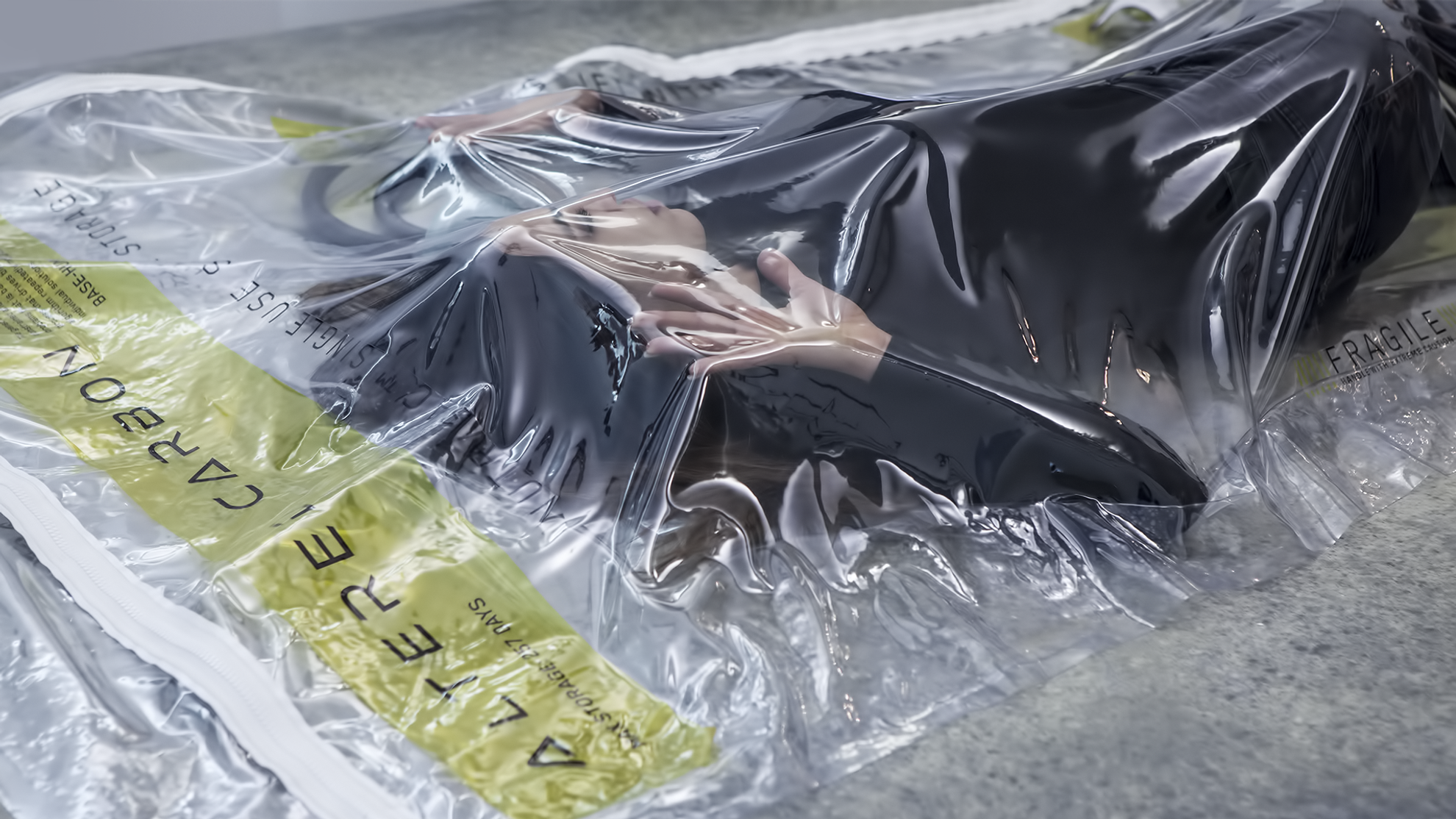 Altered Carbon