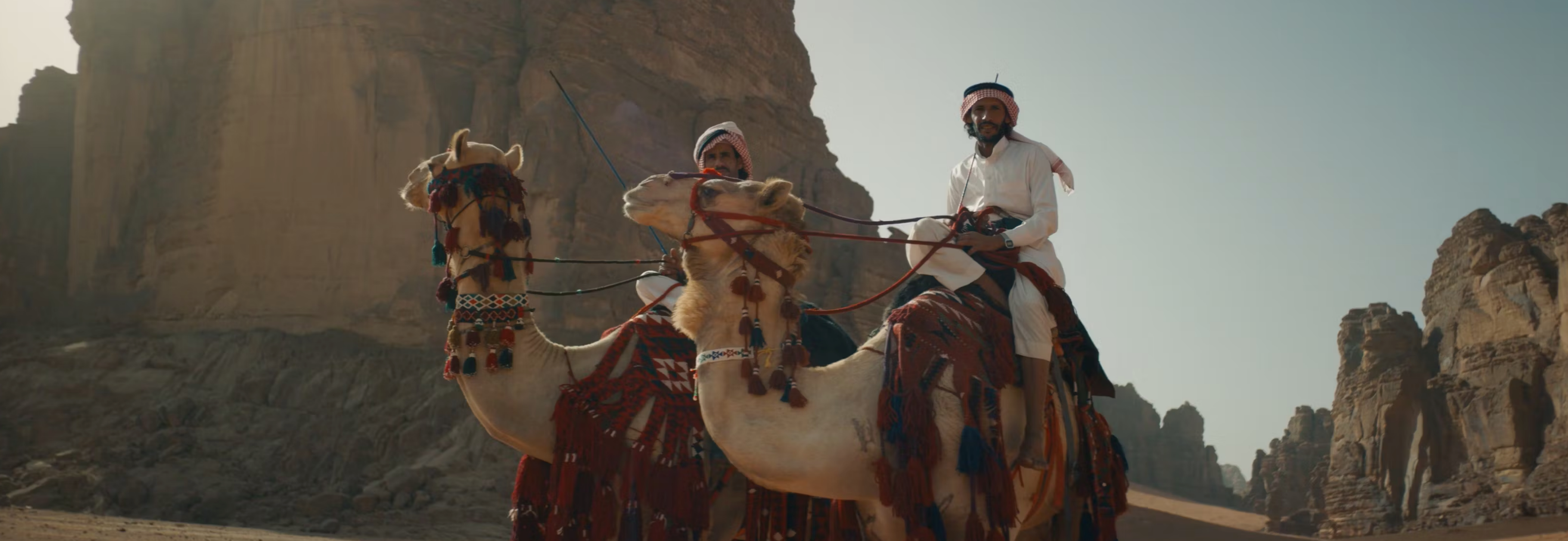 Saudi Arabian Airlines