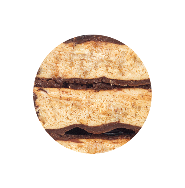 texture.gif