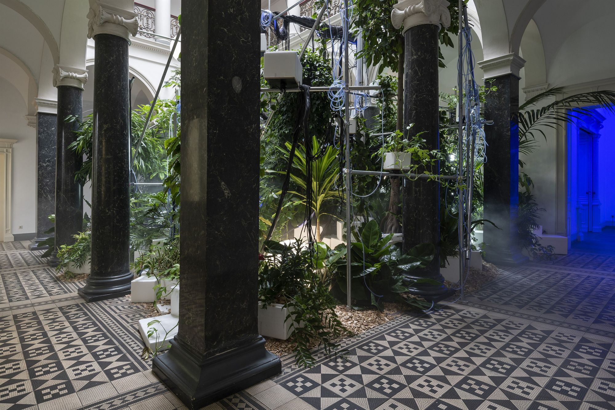 Vue de LOW