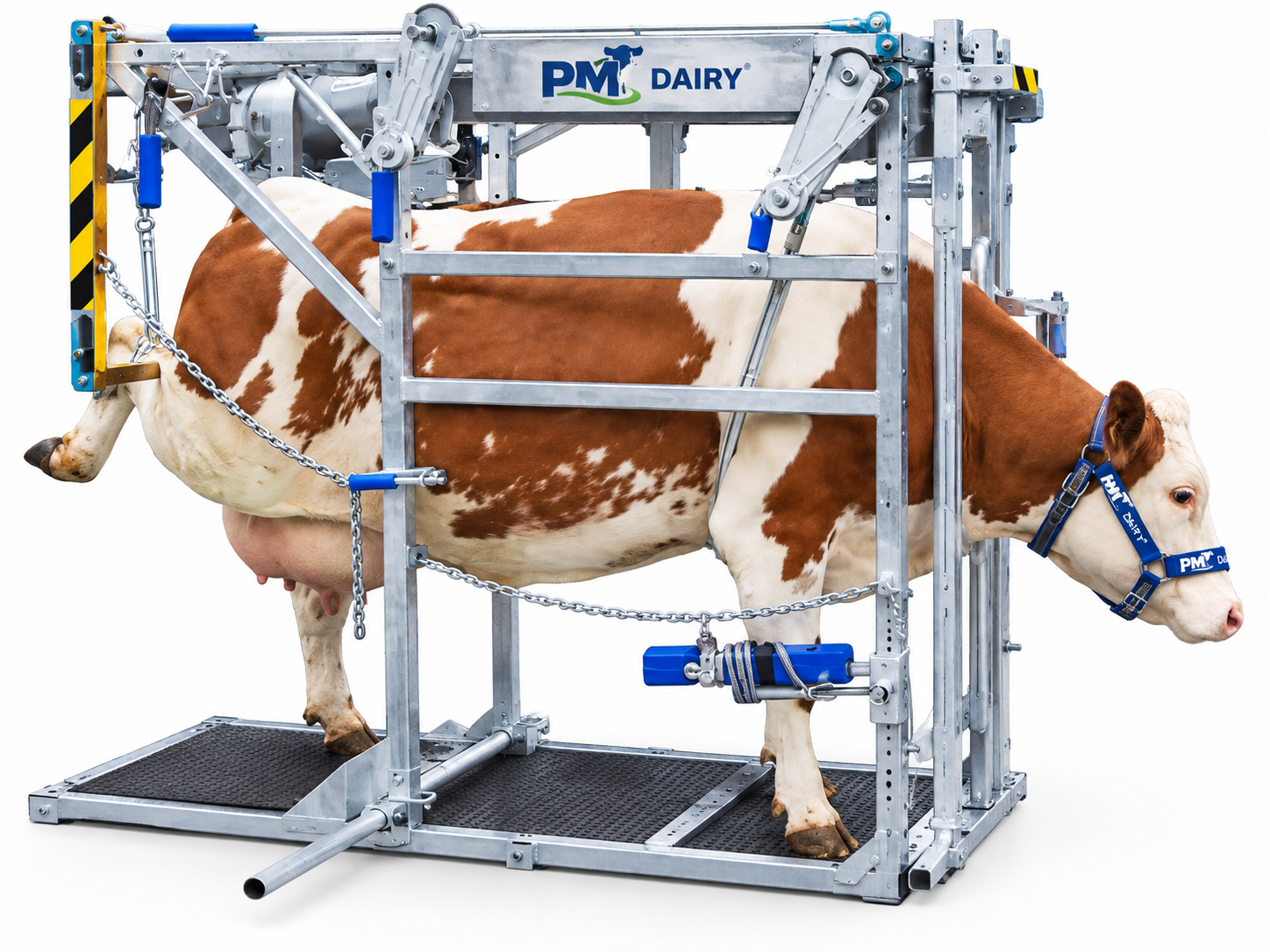 Hoof Trimming Machine - slide 2