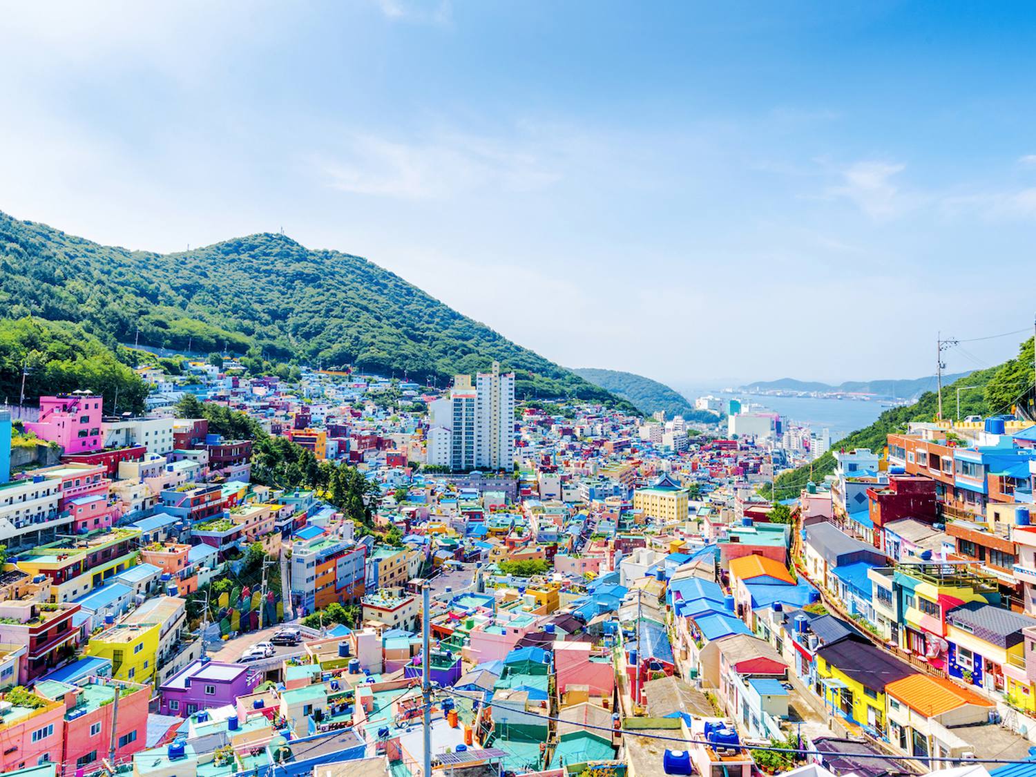 Stroll through the colorful alleys of Gamcheon Culture Village in Busan.