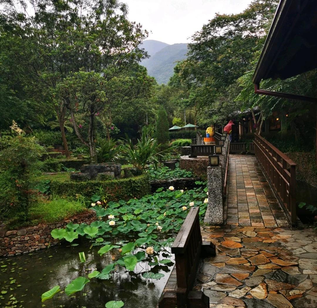 Relax and unwind in a natural hot spring hotel.