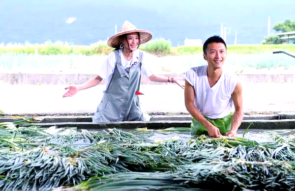 Harvest scallions and make your own pancake.