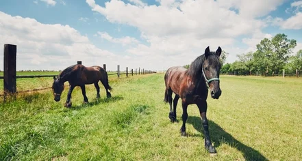 Day 1: Singapore - Beijing - Urumqi